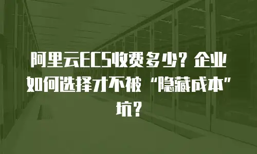 阿里云ECS收费多少？企业如何选择才不被“隐藏成本”坑？