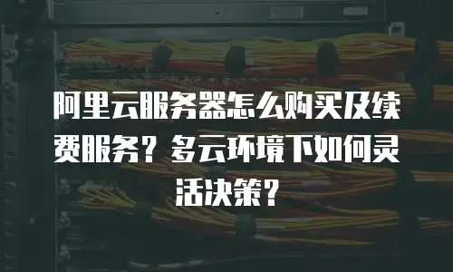 阿里云服务器怎么购买及续费服务？多云环境下如何灵活决策？