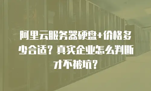 阿里云服务器硬盘+价格多少合适？真实企业怎么判断才不被坑？