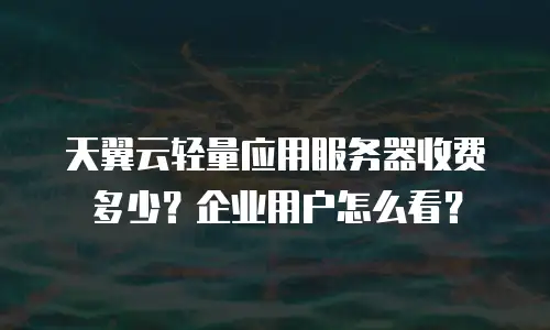 天翼云轻量应用服务器收费多少？企业用户怎么看？