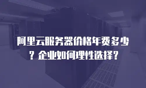 阿里云服务器价格年费多少？企业如何理性选择？