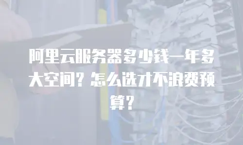 阿里云服务器多少钱一年多大空间？怎么选才不浪费预算？