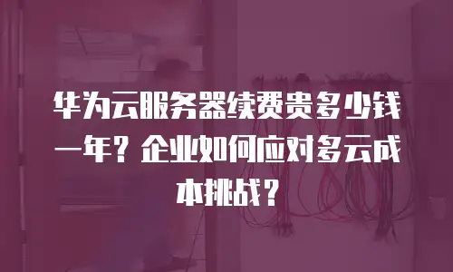 华为云服务器续费贵多少钱一年？企业如何应对多云成本挑战？