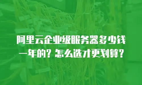 阿里云企业级服务器多少钱一年的？怎么选才更划算？