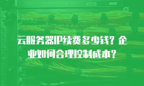 云服务器IP续费多少钱？企业如何合理控制成本？