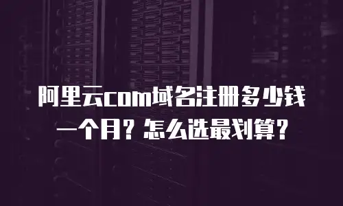 阿里云com域名注册多少钱一个月？怎么选最划算？