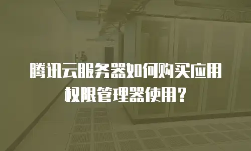 腾讯云服务器如何购买应用权限管理器使用？