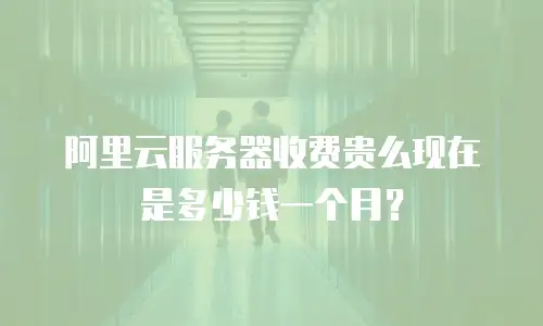 阿里云服务器收费贵么现在是多少钱一个月？