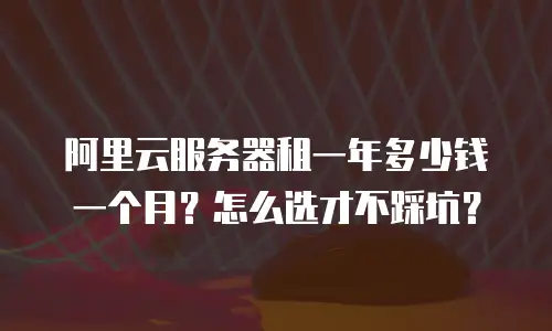 阿里云服务器租一年多少钱一个月？怎么选才不踩坑？