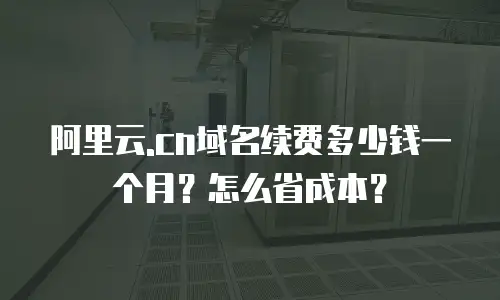 阿里云.cn域名续费多少钱一个月？怎么省成本？