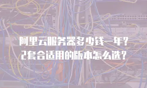 阿里云服务器多少钱一年？2套合适用的版本怎么选？