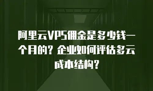 阿里云VPS佣金是多少钱一个月的？企业如何评估多云成本结构？