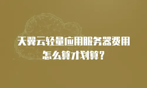 天翼云轻量应用服务器费用怎么算才划算？