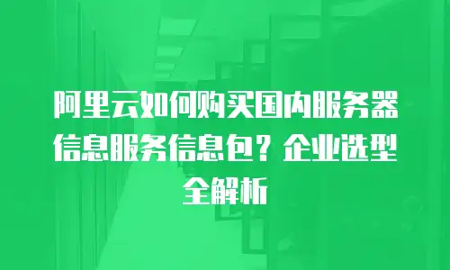 阿里云如何购买国内服务器信息服务信息包？企业选型全解析