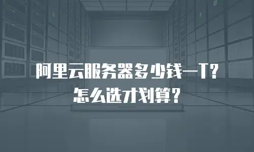 阿里云服务器多少钱一T？怎么选才划算？