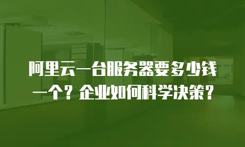 阿里云一台服务器要多少钱一个？企业如何科学决策？