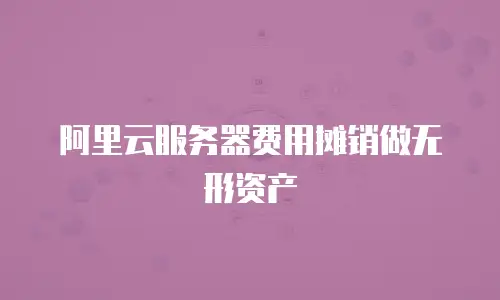 阿里云服务器费用摊销做无形资产