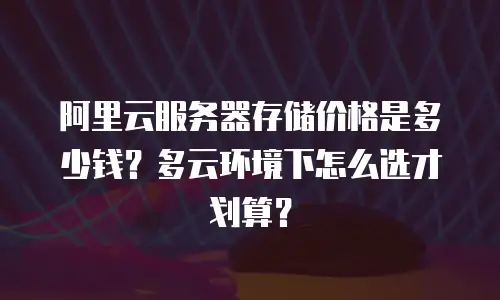 阿里云服务器存储价格是多少钱？多云环境下怎么选才划算？
