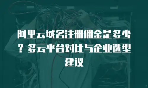 阿里云域名注册佣金是多少？多云平台对比与企业选型建议
