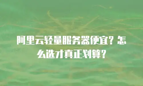 阿里云轻量服务器便宜？怎么选才真正划算？