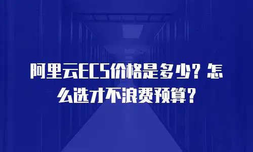 阿里云ECS价格是多少？怎么选才不浪费预算？