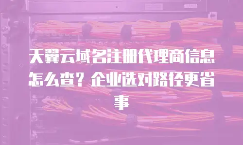 天翼云域名注册代理商信息怎么查？企业选对路径更省事