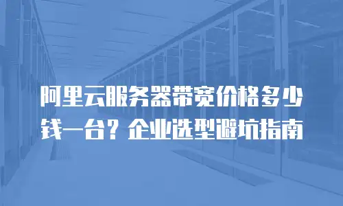 阿里云服务器带宽价格多少钱一台？企业选型避坑指南