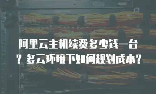 阿里云主机续费多少钱一台？多云环境下如何规划成本？