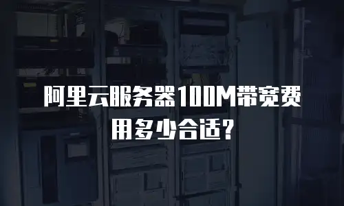 阿里云服务器100M带宽费用多少合适？