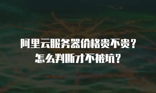 阿里云服务器价格贵不贵？怎么判断才不被坑？