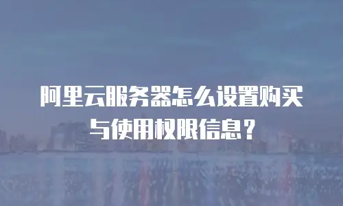 阿里云服务器怎么设置购买与使用权限信息？