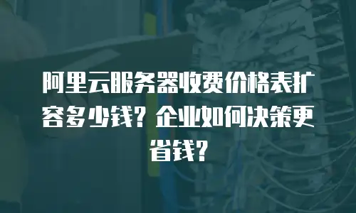 阿里云服务器收费价格表扩容多少钱？企业如何决策更省钱？