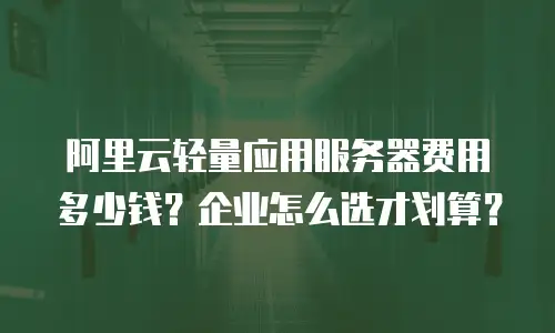 阿里云轻量应用服务器费用多少钱？企业怎么选才划算？