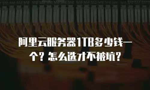 阿里云服务器1TB多少钱一个？怎么选才不被坑？