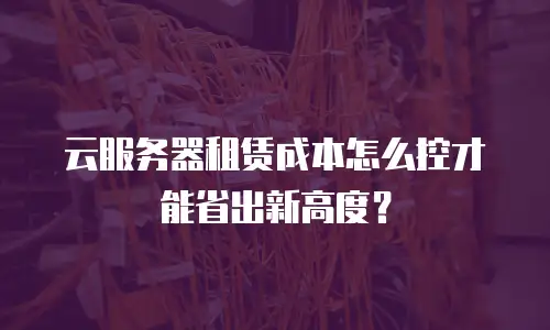 云服务器租赁成本怎么控才能省出新高度？