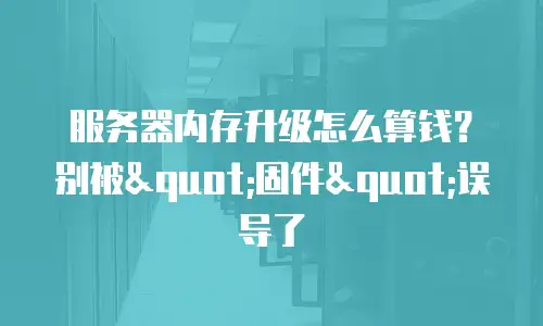 服务器内存升级怎么算钱？别被"固件"误导了