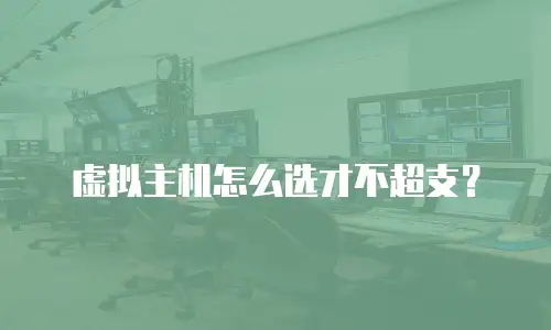 虚拟主机怎么选才不超支？