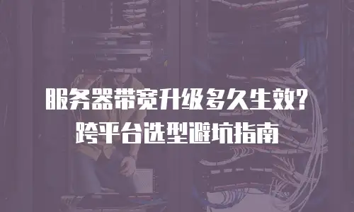 服务器带宽升级多久生效？跨平台选型避坑指南