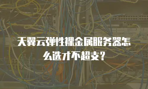 天翼云弹性裸金属服务器怎么选才不超支？