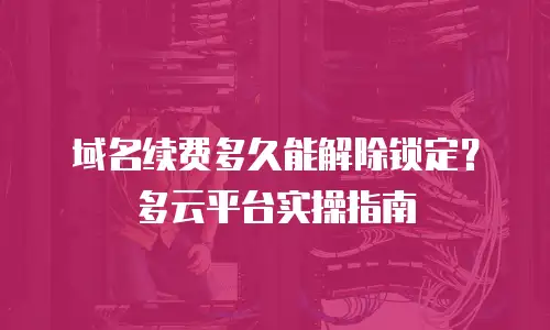 域名续费多久能解除锁定？多云平台实操指南