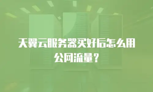 天翼云服务器买好后怎么用公网流量？