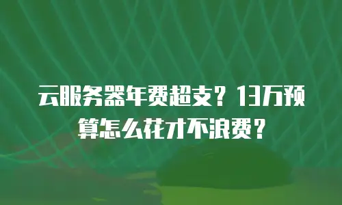 云服务器年费超支？13万预算怎么花才不浪费？