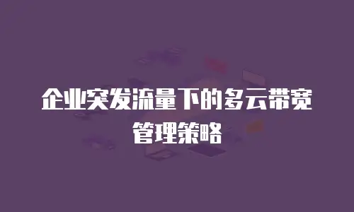 企业突发流量下的多云带宽管理策略