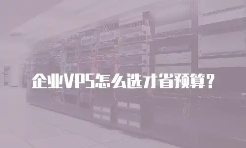 企业VPS怎么选才省预算？