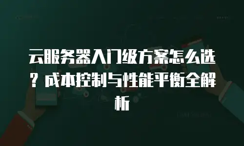 云服务器入门级方案怎么选？成本控制与性能平衡全解析