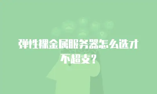 弹性裸金属服务器怎么选才不超支？