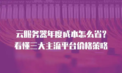 云服务器年度成本怎么省？看懂三大主流平台价格策略