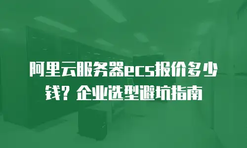 阿里云服务器ecs报价多少钱？企业选型避坑指南