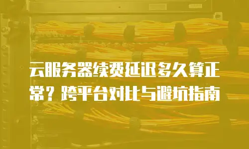 云服务器续费延迟多久算正常？跨平台对比与避坑指南