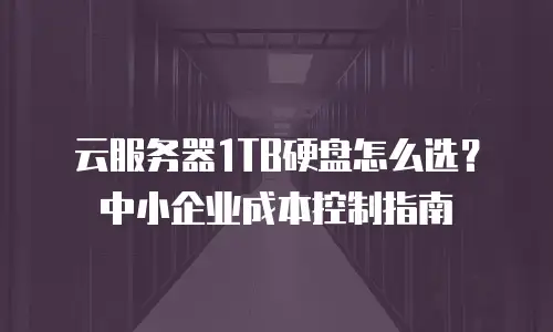 云服务器1TB硬盘怎么选？中小企业成本控制指南
